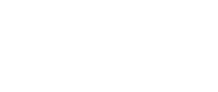 O POVO